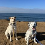 Engaged couple holding hands | ONEPAGEWEBSITE.PRO